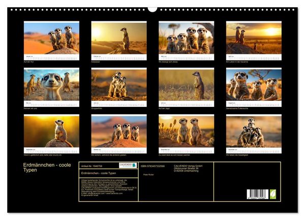 Produktbild: Erdm&auml;nnchen - coole Typen (Wandkalender 2026 DIN A2 quer), CALVENDO Monatskalender