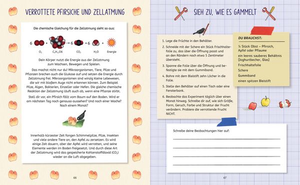 Produktbild: Die Forscherbande: Experimentieren und Entdecken mit Ada Twist