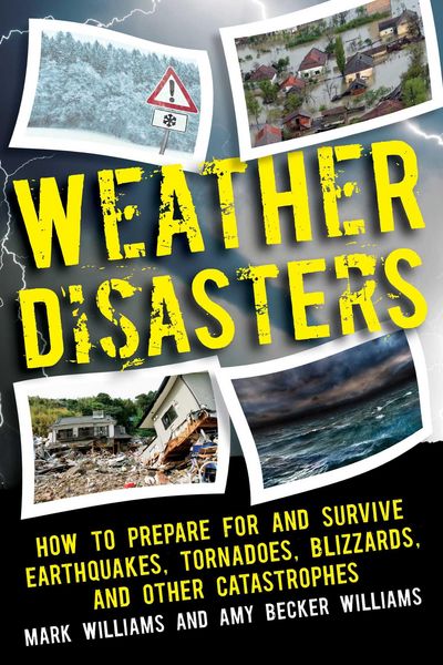 Produktbild: Weather Disasters