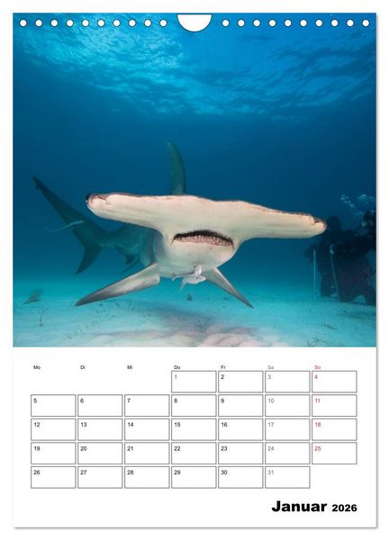 Produktbild: Tauchen - Abtauchen und Staunen (Wandkalender 2026 DIN A4 hoch), CALVENDO Monatskalender