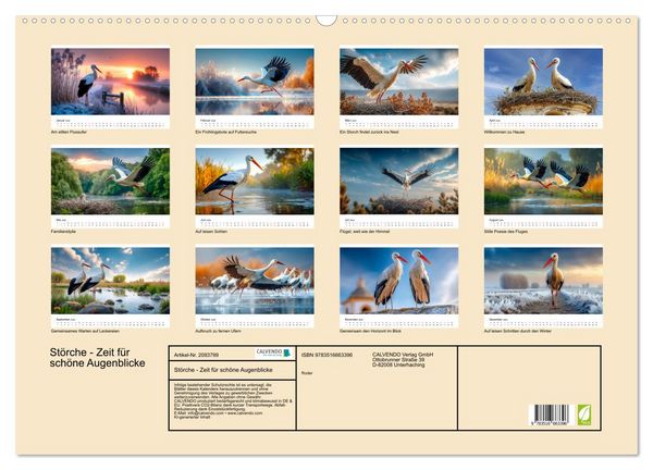Produktbild: St&ouml;rche - Zeit f&uuml;r sch&ouml;ne Augenblicke (Wandkalender 2026 DIN A2 quer), CALVENDO Monatskalender