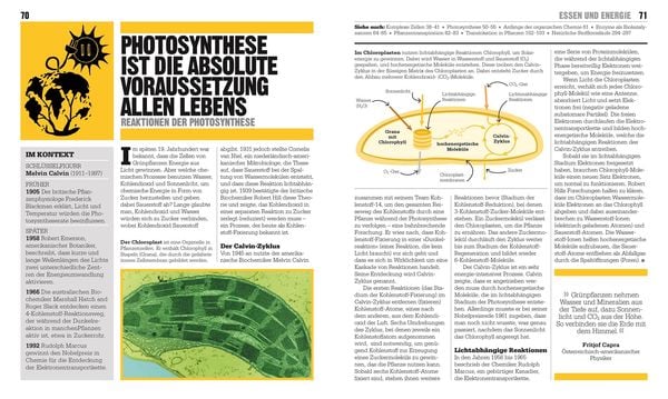 Big Ideas. Das Biologie-Buch
