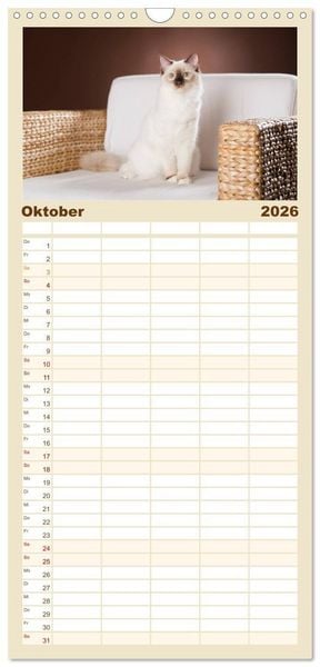 Produktbild: Familienplaner 2026 - Zauberhafte Ragdolls mit 5 Spalten (Wandkalender, 21 x 45 cm) CALVENDO