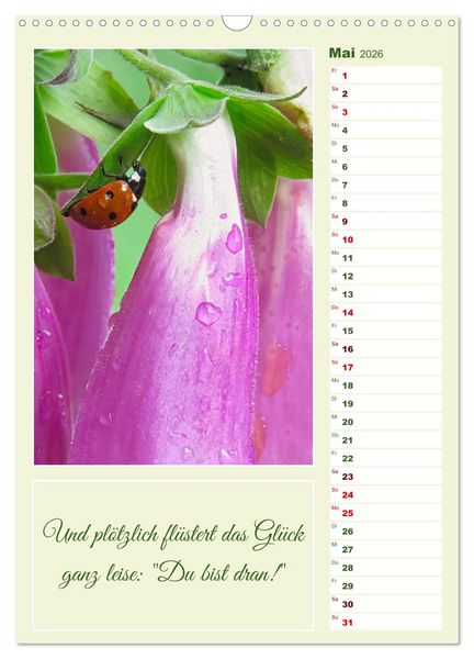 Produktbild: Marienk&auml;fer, Gl&uuml;cksbringer mit sieben Punkten (Wandkalender 2026 DIN A3 hoch), CALVENDO Monatskalender