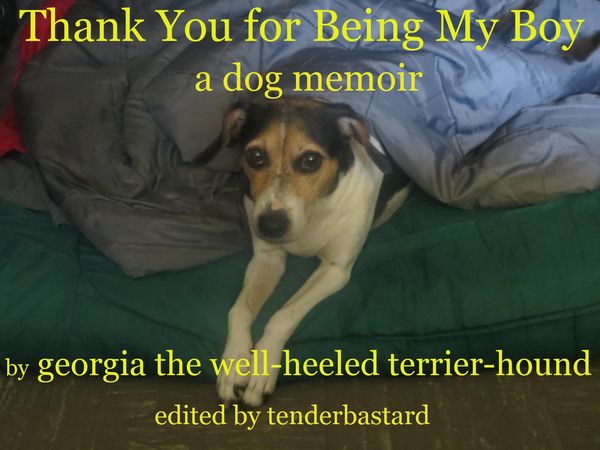 Produktbild: Thank You for Being My Boy - A Dog's Memoir