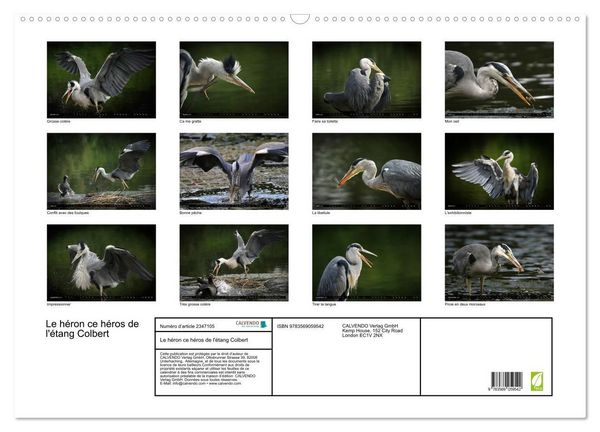 Produktbild: Le h&eacute;ron ce h&eacute;ros de l'&eacute;tang Colbert (Calendrier mural 2027 DIN A2 vertical), CALVENDO calendrier mensuel