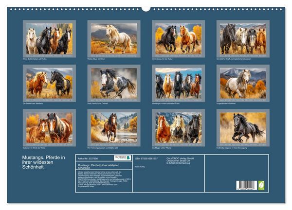 Produktbild: Mustangs. Pferde in ihrer wildesten Sch&ouml;nheit (Wandkalender 2027 DIN A2 quer), CALVENDO Monatskalender