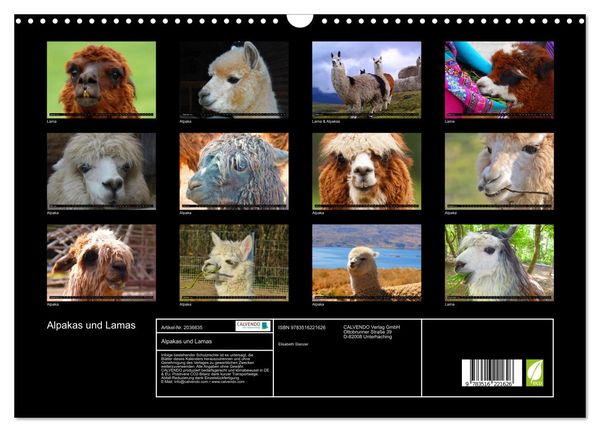 Produktbild: Alpakas und Lamas (Wandkalender 2026 DIN A3 quer), CALVENDO Monatskalender