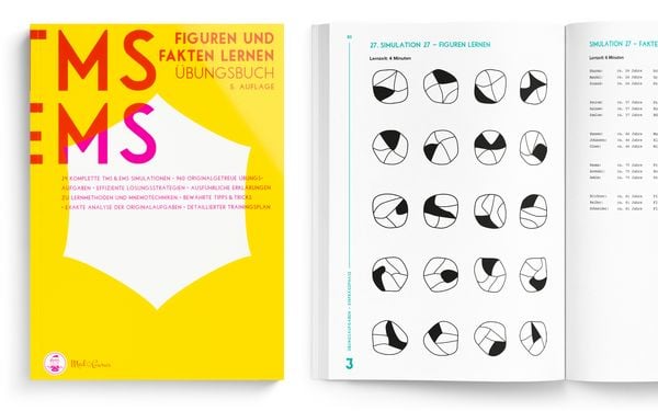 Produktbild: MedGurus - TMS &Uuml;bungsbuch Figuren lernen und Fakten lernen