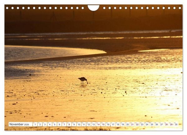 Produktbild: Seel&auml;ndisches Flandern (Wandkalender 2026 DIN A4 quer), CALVENDO Monatskalender