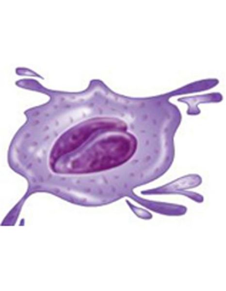 Produktbild: Platelet Count