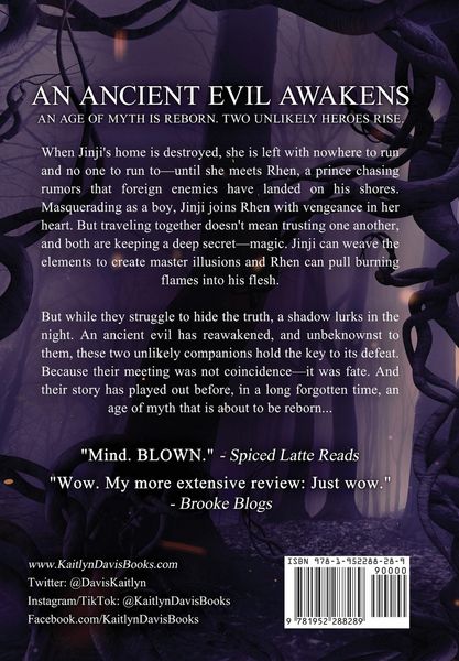Produktbild: The Shadow Soul