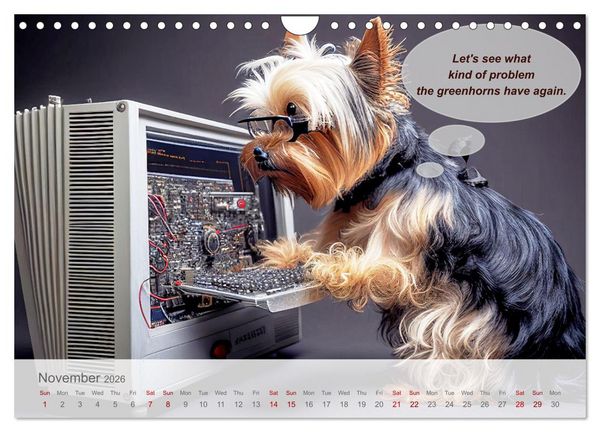 Produktbild: You really think you are an IT expert (Wall Calendar 2026 DIN A4 landscape), CALVENDO 12 Month Wall Calendar