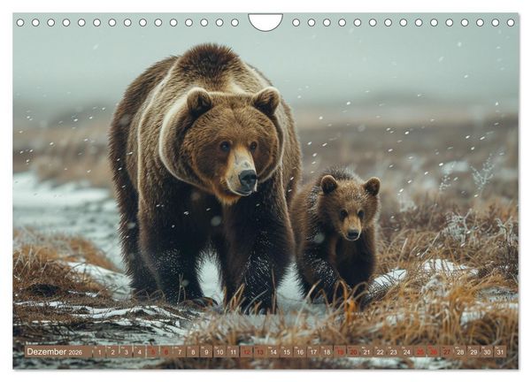 Produktbild: Wildes B&auml;renland (Wandkalender 2026 DIN A4 quer), CALVENDO Monatskalender