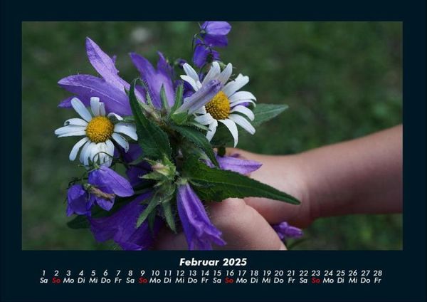 Produktbild: Blumentr&auml;ume 2025 Fotokalender DIN A4