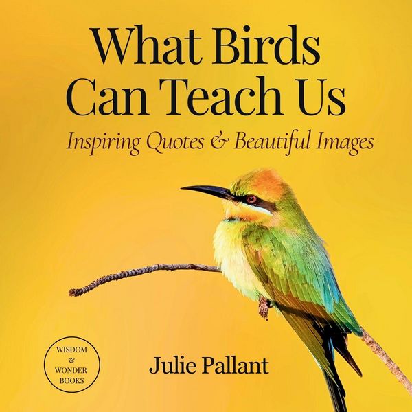 Produktbild: What Birds Can Teach Us