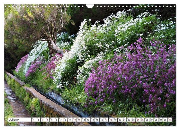 Produktbild: Bl&uuml;tenzauber auf Madeira. Wildblumen und Ziergew&auml;chse (Wandkalender 2027 DIN A3 quer), CALVENDO Monatskalender