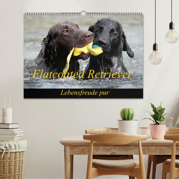 Produktbild: Flatcoated Retriever (Wandkalender 2026 DIN A2 quer), CALVENDO Monatskalender
