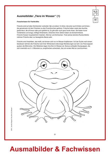 Produktbild: Kita aktiv U3 Wasser