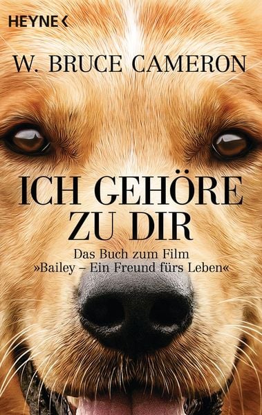 Produktbild: Ich geh&ouml;re zu dir