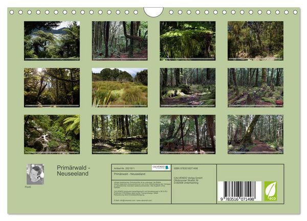 Produktbild: Prim&auml;rwald - Neuseeland (Wandkalender 2026 DIN A4 quer), CALVENDO Monatskalender