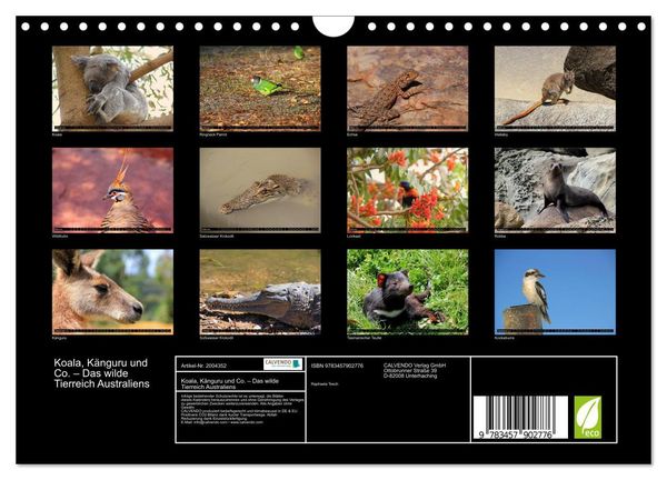 Produktbild: Koala, K&auml;nguru und Co. &ndash; Das wilde Tierreich Australiens (Wandkalender 2026 DIN A4 quer), CALVENDO Monatskalender