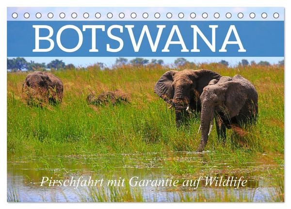Produktbild: Botswana- Pirschfahrt mit Garantie auf Wildlife (Tischkalender 2026 DIN A5 quer), CALVENDO Monatskalender