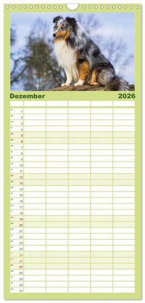 Produktbild: Familienplaner 2026 - Traumhund Sheltie mit 5 Spalten (Wandkalender, 21 x 45 cm) CALVENDO