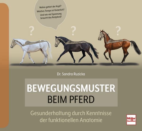 Bewegungsmuster beim Pferd, Gebundene Ausgabe von Sandra Ruzicka, Müller Rüschlikon, 978-3-275-02351-6