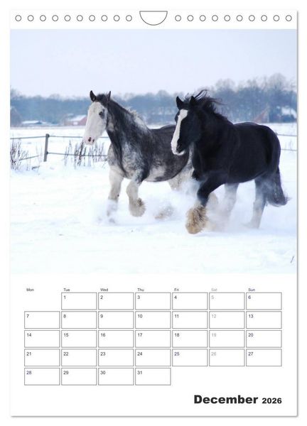 Produktbild: Shire Horses The Gentle Giants (Wall Calendar 2026 DIN A4 portrait), CALVENDO 12 Month Wall Calendar