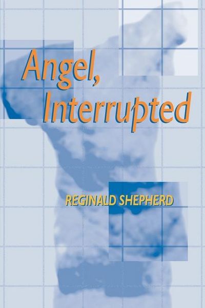 Produktbild: Angel Interrupted
