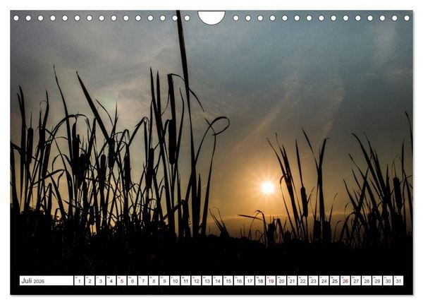 Produktbild: Osterholz-Scharmbeck, Natur-Impressionen aus dem Teufelsmoor (Wandkalender 2026 DIN A4 quer), CALVENDO Monatskalender