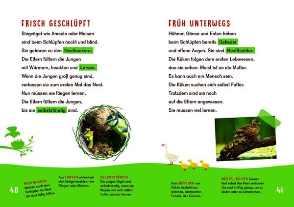 Produktbild: Dein Lesestart - V&ouml;gel