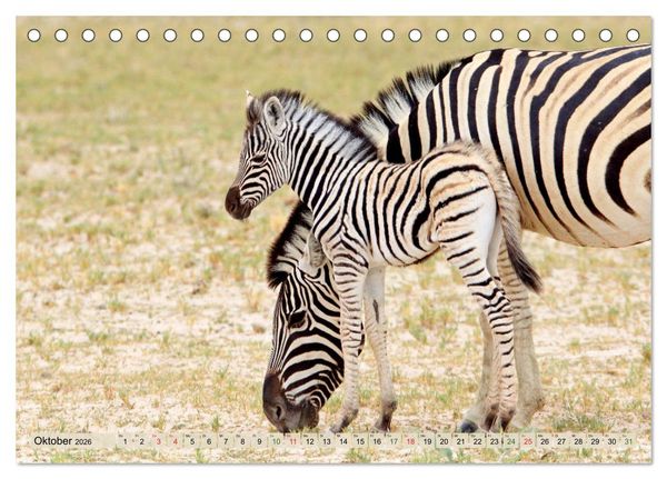 Produktbild: Wildes Kinderzimmer - Tierkinder in Afrika (Tischkalender 2026 DIN A5 quer), CALVENDO Monatskalender