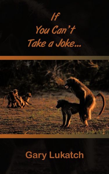 Produktbild: If You Can't Take a Joke...
