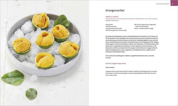 Produktbild: Die Eis-Bibel