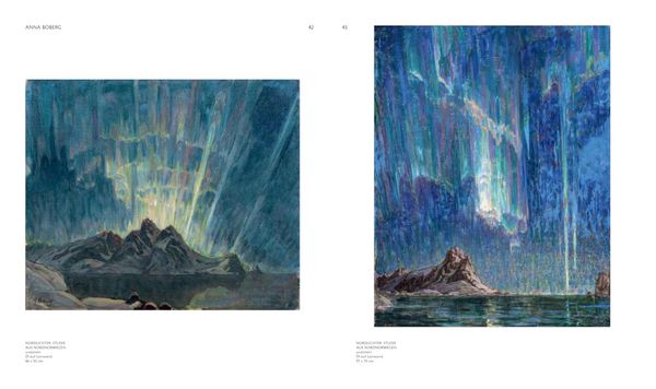 Produktbild: Nordlichter