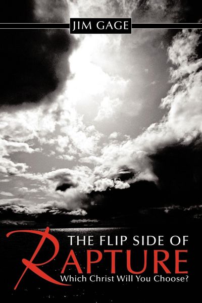 Produktbild: The Flip Side of Rapture