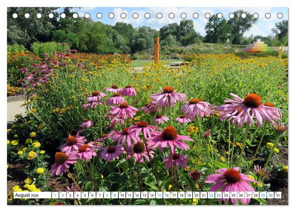 Produktbild: Rathenow - Gr&uuml;ne Stadt an der Havel (Tischkalender 2026 DIN A5 quer), CALVENDO Monatskalender