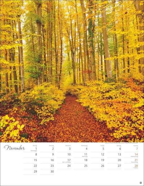 Produktbild: Wege zum Tr&auml;umen Posterkalender 2027
