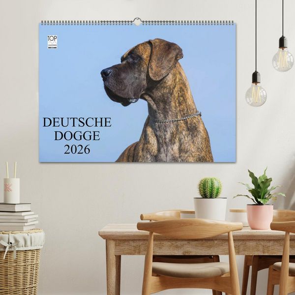 Produktbild: Deutsche Dogge 2026 (Wandkalender 2026 DIN A2 quer), CALVENDO Monatskalender