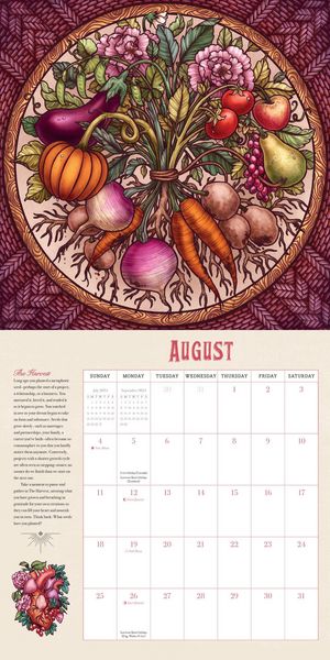 Produktbild: Workman Calendars: Maia Toll's Wild Wisdom Wall Calendar 202