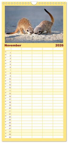 Produktbild: Familienplaner 2026 - Lustige Erdm&auml;nnchen mit 5 Spalten (Wandkalender, 21 x 45 cm) CALVENDO
