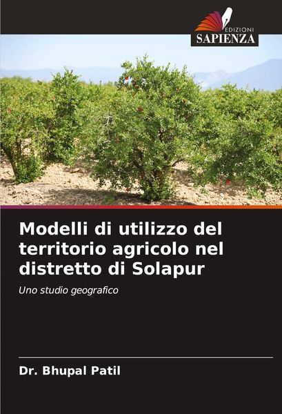 Produktbild: Modelli di utilizzo del territorio agricolo nel distretto di Solapur