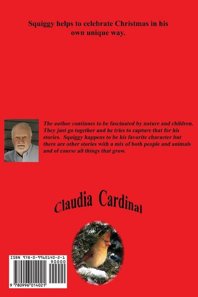 Produktbild: Christmas Garland Mystery