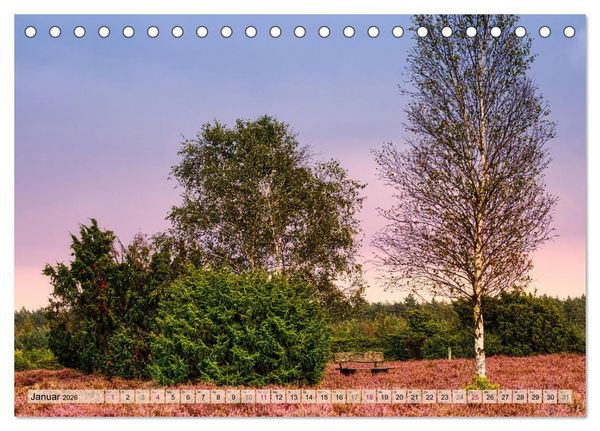 Produktbild: L&uuml;neburger S&uuml;dheide (Tischkalender 2026 DIN A5 quer), CALVENDO Monatskalender