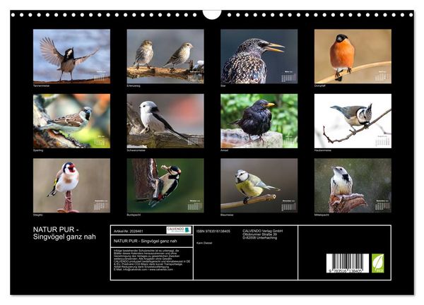 Produktbild: NATUR PUR - Singv&ouml;gel ganz nah (Wandkalender 2026 DIN A3 quer), CALVENDO Monatskalender