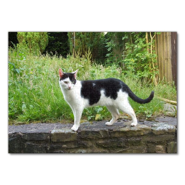 Produktbild: Lais Puzzle Katze 500 Teile