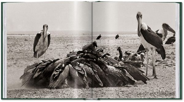 Produktbild: Peter Beard