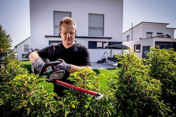 Produktbild: Metabo HS 18 LTX 55 Akku Heckenschere ohne Akku 18V